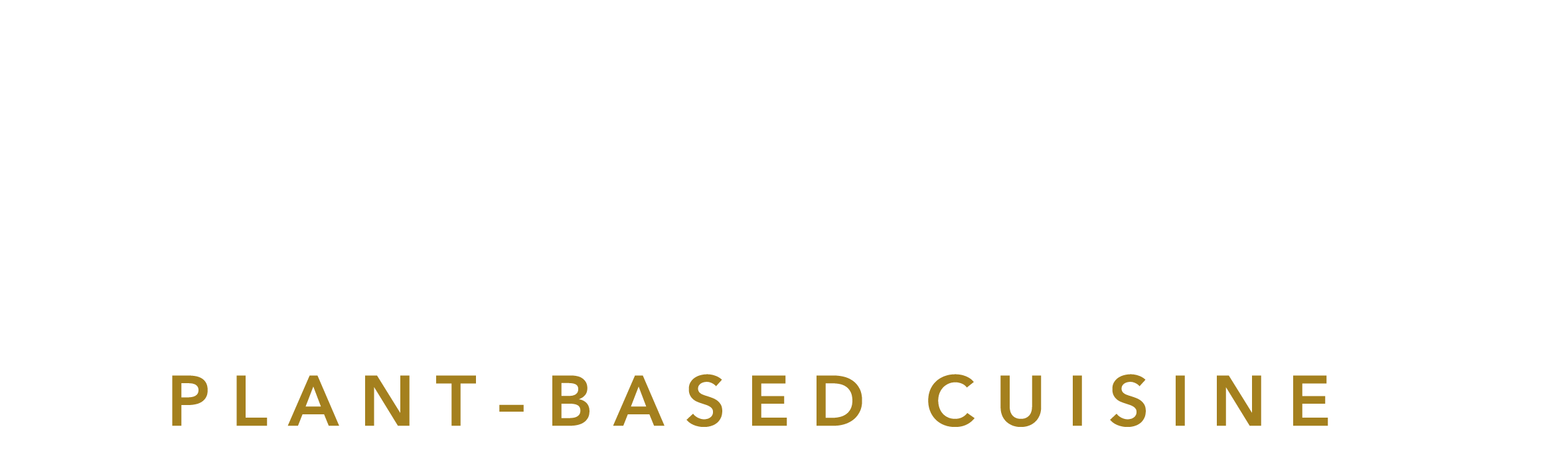 VGIYAN Logo
